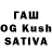 Галлюциногенные грибы Magic Shrooms kuser
