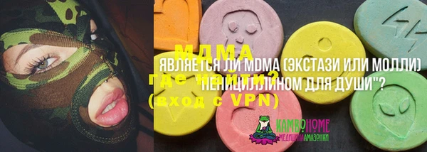 стаф Богородск
