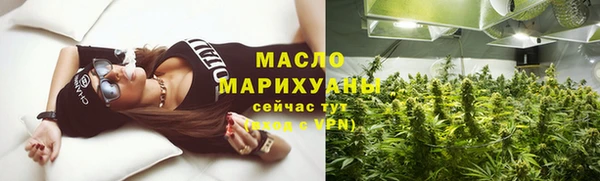 спиды Богородицк
