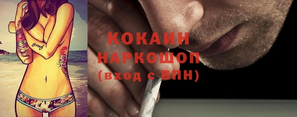 стаф Богородск