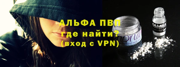 стаф Богородск