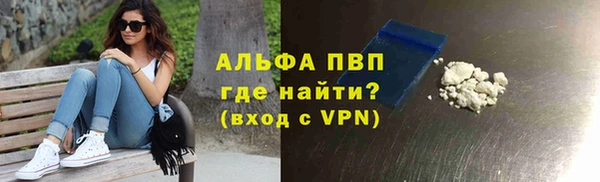 спиды Богородицк