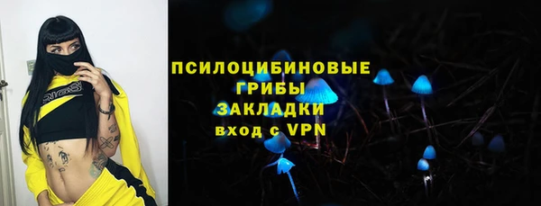 спиды Богородицк