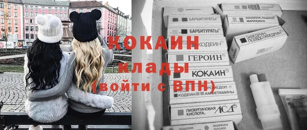 стаф Богородск