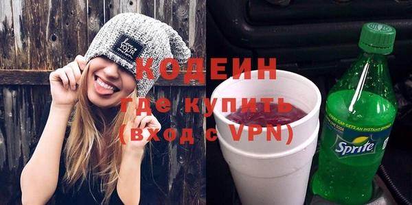 спиды Богородицк