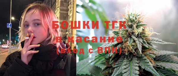 спиды Богородицк
