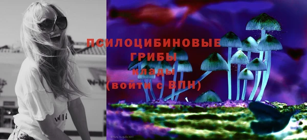спиды Богородицк