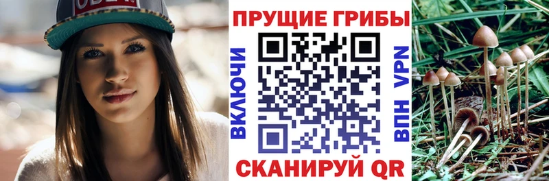 хочу   Туран  Псилоцибиновые грибы мухоморы 